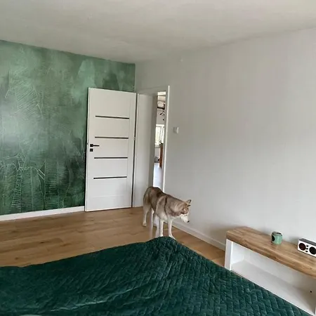 W Centrum Gdyni 80m2 Apartmán
